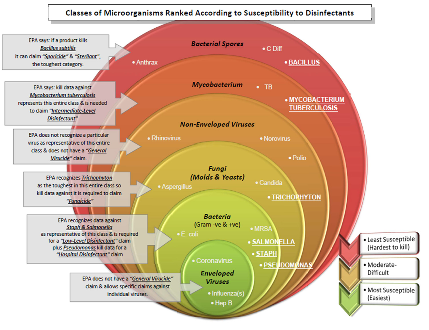 Infographic showing classes of microorganisms ranked according to susceptibility to disinfectants